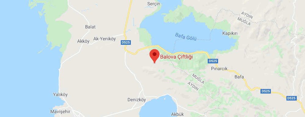 Balova Çiftliği Arsa Fiyatları