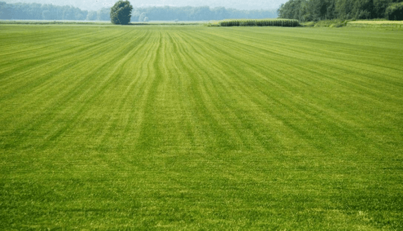 Süleymanpaşa Gazioğlu Arsa Fiyatları