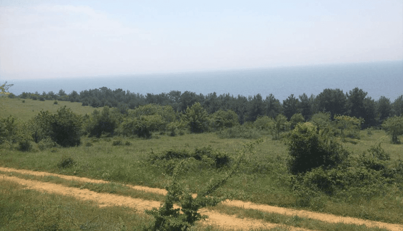 lapseki dişbudak arsa fiyatları