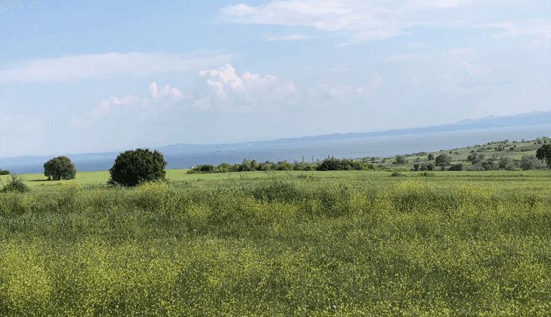 şarköy kızılcaterzi arsa fiyatları