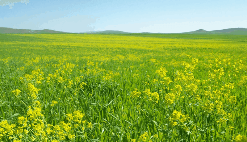 gölbaşı ahiboz arsa fiyatları