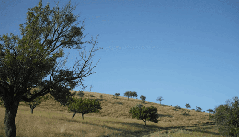 gölbaşı bursal arsa fiyatları