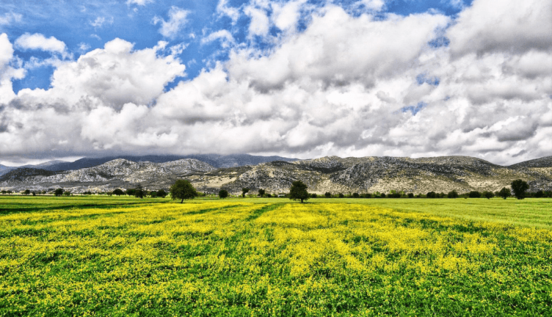gölbaşı hacılar arsa fiyatları