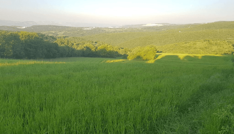 gölbaşı oğulbey arsa fiyatları