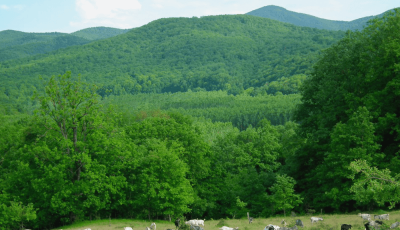 kahramankazan yazıbeyli arsa fiyatları