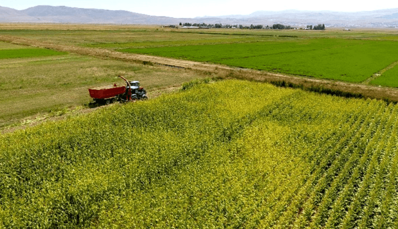 nallıhan hıdırlar arsa fiyatları