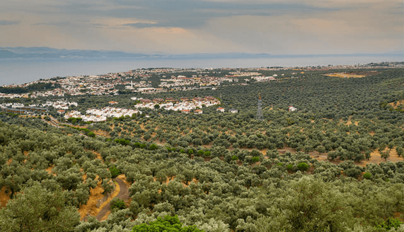 balıkesir bigadiç arsa fiyatları