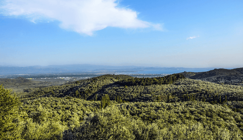 balıkesir dursunbey arsa fiyatları