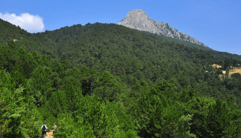 sakarya geyve arsa fiyatları