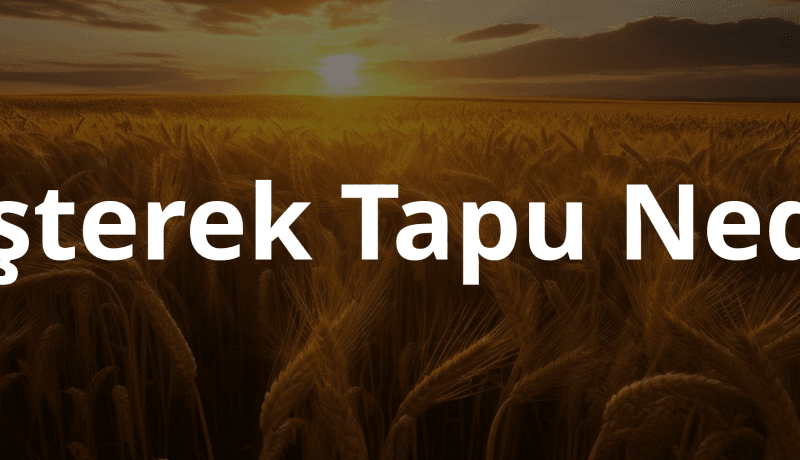 müşterek tapu nedir