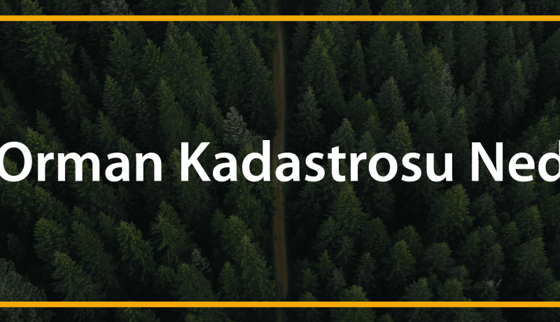 2b orman kadastrosu nedir