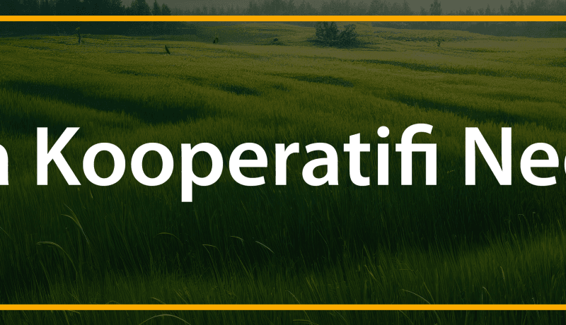 arsa kooperatifi nedir