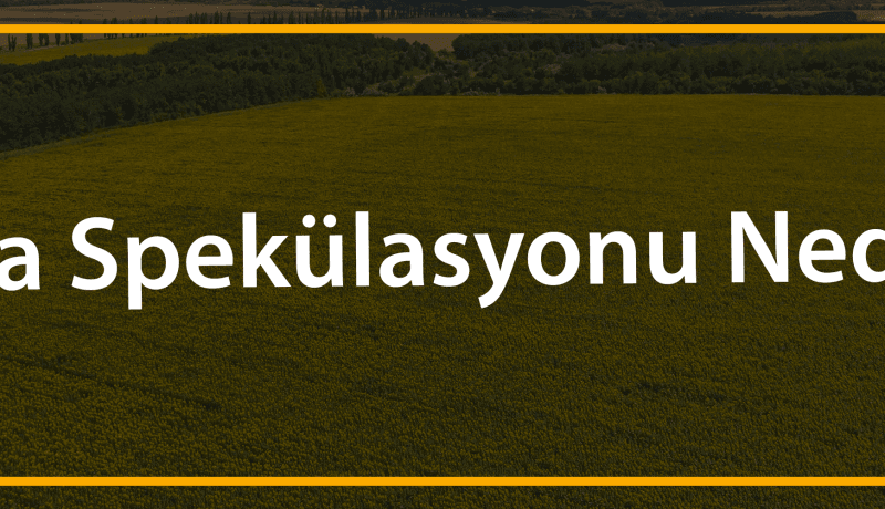 arsa spekülasyonu nedir