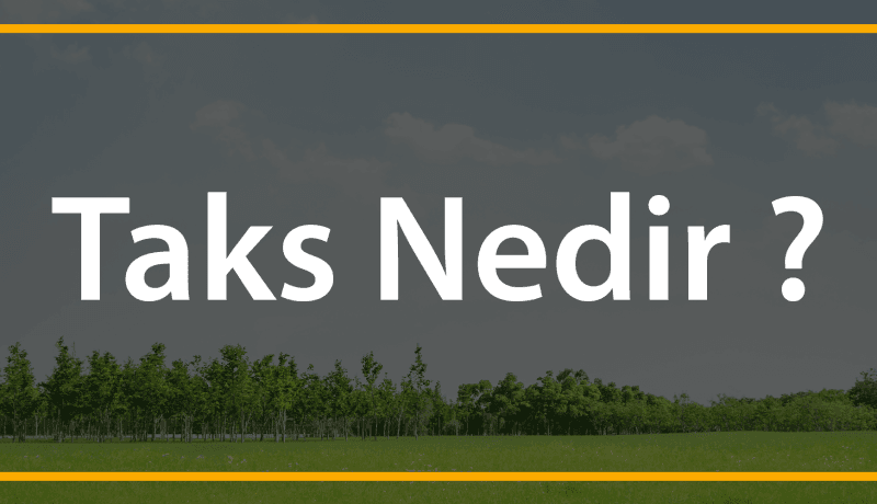 taks nedir