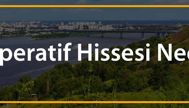 kooperatif hissesi nedir